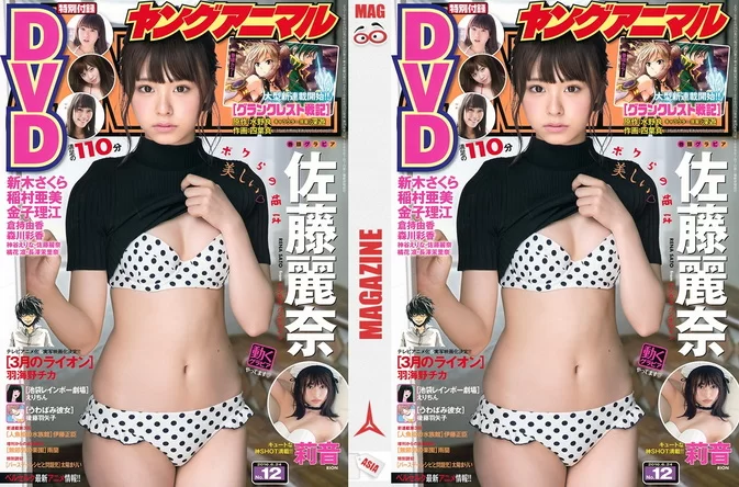 Cover for Young Animal 2016 No.12 佐藤麗奈 莉音 付録DVD